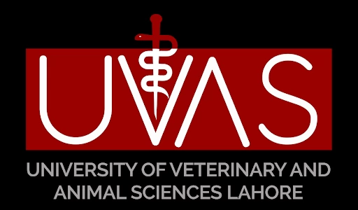 The University of Veterinary and Animal Science Lahore UVAS Admission Merit List 2021