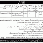 Architecture Department Govt Of Punjab Jobs 31 Jan 2019