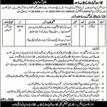 Civil Defence Department Punjab 29 Jan 2019 Jobs