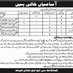 Combined Military Hospital CMH Multan Cantt 23 Jan 2019 Jobs
