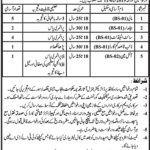 Department Of Archaeology Govt Of Punjab 30 Jan 2019 Jobs