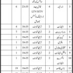 District Health Officer Naushahro Feroze 12 Jan 2019 Jobs