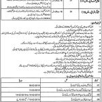 Elementary And Secondary Education Department Jobs 31 Jan 2019