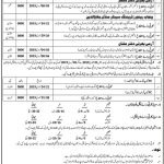 Frontier Corps Balochistan 4 January 2019 Jobs