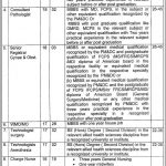 Govt Lady Aitchison Hospital 19 Jan 2019 Jobs