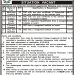 Irrigation Division Peshawar 12 Jan 2019 Jobs