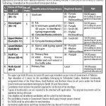 Ministry Of Science And Technology Govt Of Pakistan 28 Jan 2019 Jobs
