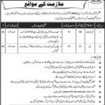 National Institute Of Management 09 Jan 2019 Jobs