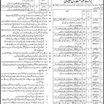 NTS Health Department Govt Of Sindh 13 Jan 2019 Jobs