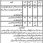 Office Of The Deputy Commissioner Kohistan 01 Jan 2019 Jobs