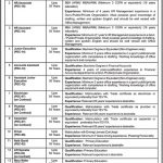 Pakistan Engineering Council 13 Jan 2019 Jobs