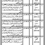 Population Welfare Department KPK 01 Jan 2019 Jobs