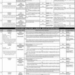 PPSC Jobs Advertisement No. 2/2019 Appy Online