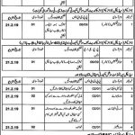 Punjab Employees Social Security Institutions Jobs 28 Jan 2019