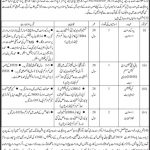 Sindh Irrigated Agriculture Productivity 03 Jan 2019 Jobs