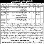 Social Welfare And Bait Ul Maal Department Jobs 24 Jan 2019