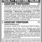 University Of Karachi 15 Jan 2019 Jobs