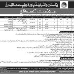 Water And Power Development Authority WAPDA 13 Jan 2019 Jobs