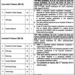 Chaudhry Pervaiz Elahi Institute Of Cardiology Jobs 05 Feb 2019