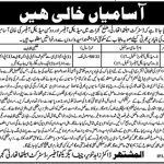 District Health Authority Gujrat Jobs 14 Feb 2019