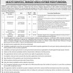 Health Department Govt Of Khyber Pakhtunkhwa Jobs 15 Feb 2019