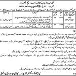 Irrigation Department Govt Of The Punjab Jobs 07 Feb 2019