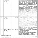 Jinnah Burn Reconstructive Surgery Centre Jobs 22 Feb 2019