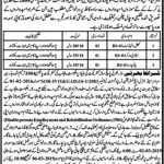 Livestock Department Sheikupura Jobs 10 Feb 2019