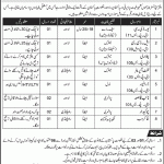 Ministry Of Affairs Kashmir Gilgit Baltistan Jobs 13 Feb 2019