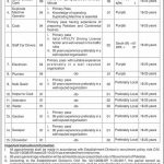 Ministry Of Commerce Govt Of Pakistan Jobs 26 Feb 2019