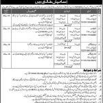 National Commission On The Status Of Women Jobs 17 Feb 2019