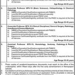 Nowshera Medical College & DHQ Teaching Hospital Jobs 10 Feb 2019