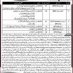 NTS District And Session Court Peshawar 04 Feb 2019 Jobs