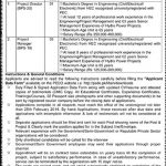 Pakhtunkhwa Energy Development Organization PEDO Jobs 08 Feb 2019