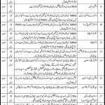 Shaheed Mohtarma Benazir Bhutto Trauma Center Jobs 09 Feb 2019