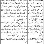 Sindh Energy Holding Company Jobs 09 Feb 2019