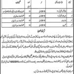 Syed Muhammad Hussain Govt TB Sanatorium Jobs 22 Feb 2019