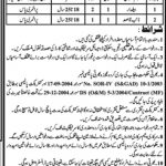 Agriculture Department Govt Of Punjab Jobs 12 Mar 2019