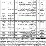 Archives And Libraries Khyber Pakhtunkhwa Jobs 13 Mar 2019