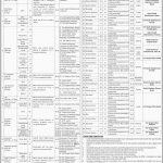 Directorate Of Central Health Establishments Jobs 28 Mar 2019