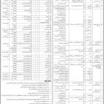 Directorate Of Central Health Establishments Jobs 29 Mar 2019