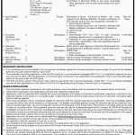 District And Session Court Bahawalpur Jobs 11 Mach 2019