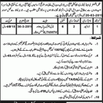 Elementary And Secondary Education Department Jobs 13 Mar 2019
