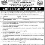 Energy Department Govt Of The Punjab Jobs 24 Mar 2019