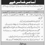Establishment Division Govt Of Pakistan Jobs 08 Mar 2019