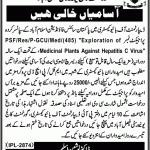 Govt College GC University Faisalabad Jobs 29 Mar 2019