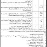 Health Sector Regularity Authority Karachi Jobs 24 Mar 2019