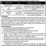 Institute Of Agriculture Sciences Jobs 18 Mar 2019