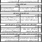 Irrigation Department Govt Of Balochistan Jobs 06 Mar 20109