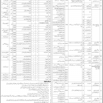 Directorate of Central Health Establishment Islamabad Jobs 31st March 2019